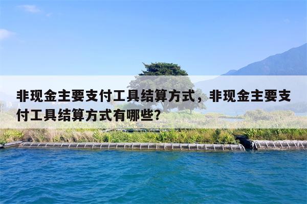 非现金主要支付工具结算方式，非现金主要支付工具结算方式有哪些？