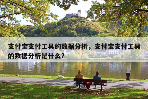 支付宝支付工具的数据分析，支付宝支付工具的数据分析是什么？