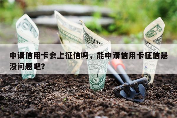 申请信用卡会上征信吗，能申请信用卡征信是没问题吧？