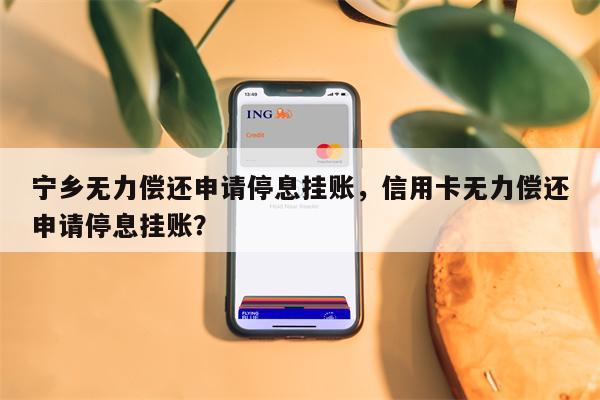 宁乡无力偿还申请停息挂账,信用卡无力偿还申请停息挂账?