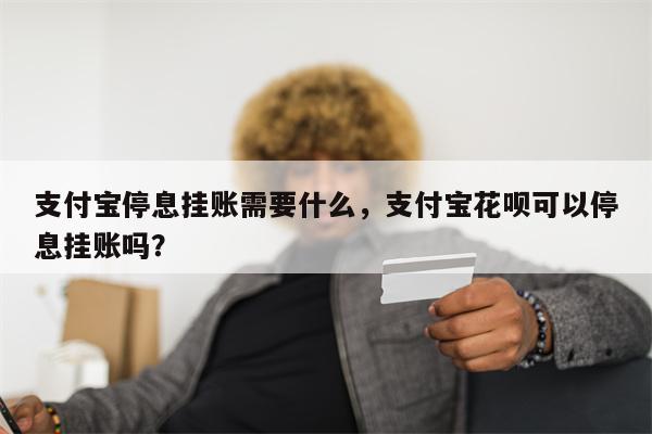 支付宝停息挂账需要什么，支付宝花呗可以停息挂账吗？