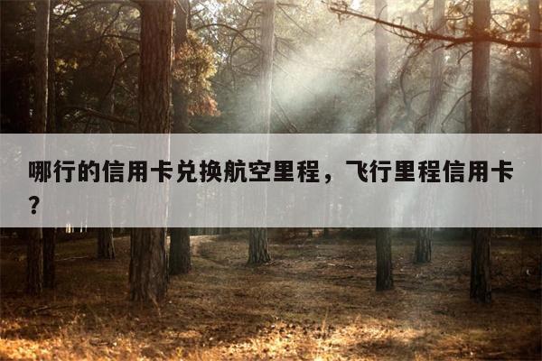 哪行的信用卡兑换航空里程，飞行里程信用卡？