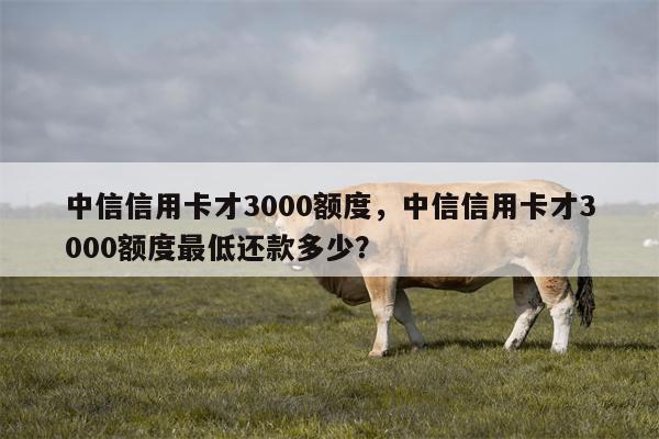 中信信用卡才3000额度，中信信用卡才3000额度最低还款多少？