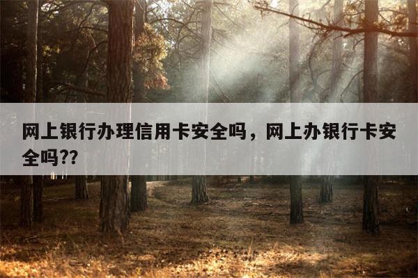 网上银行办理信用卡安全吗，网上办银行卡安全吗?？
