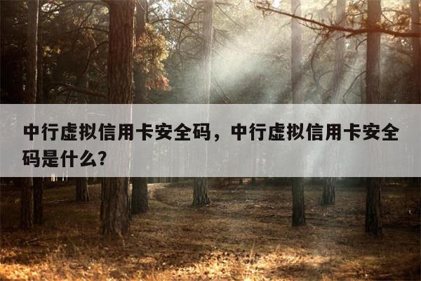 中行虚拟信用卡安全码，中行虚拟信用卡安全码是什么？