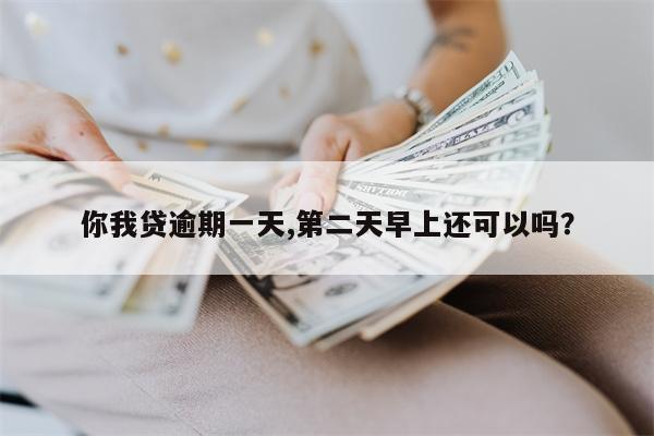 你我贷逾期一天,第二天早上还可以吗？