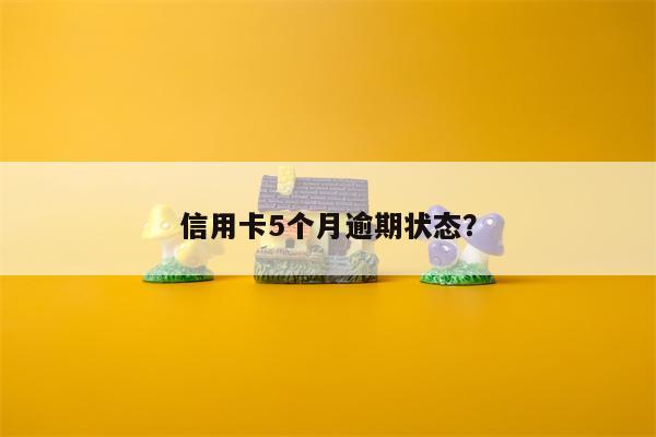 信用卡5个月逾期状态？