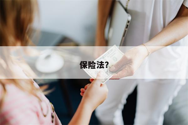 保险法?