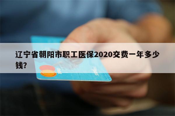 辽宁省朝阳市职工医保2020交费一年多少钱?