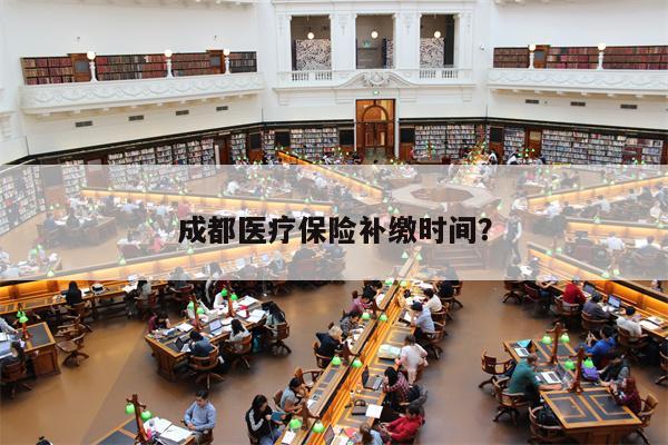 成都医疗保险补缴时间?