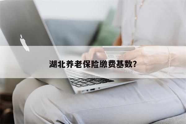 湖北养老保险缴费基数?