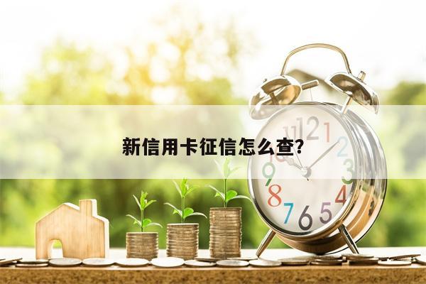 新信用卡征信怎么查?