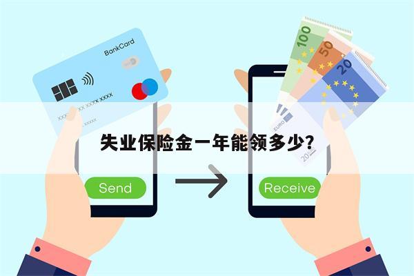 失业保险金一年能领多少?