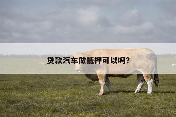 贷款汽车做抵押可以吗?