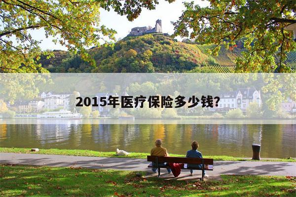 2015年医疗保险多少钱?