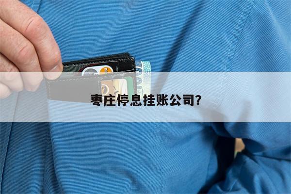 枣庄停息挂账公司?