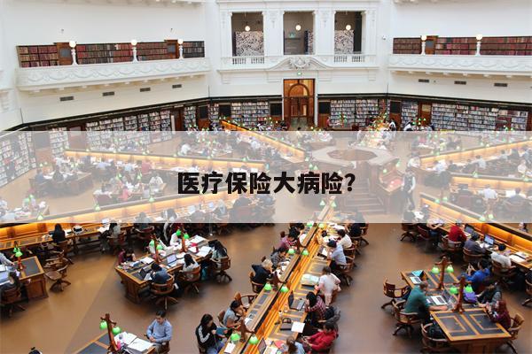 医疗保险大病险?