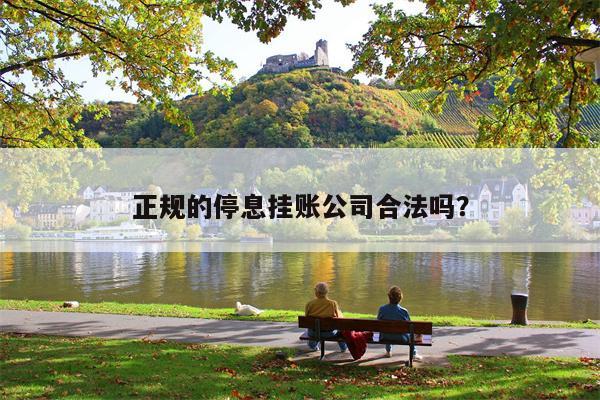 正规的停息挂账公司合法吗?