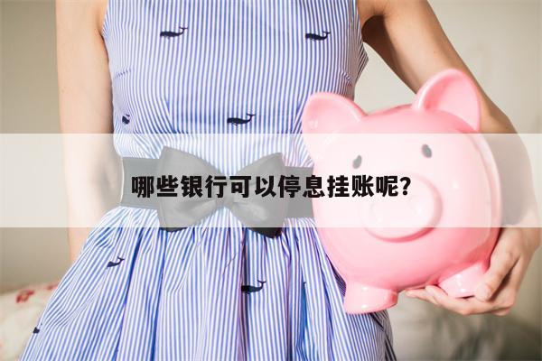 哪些银行可以停息挂账呢?