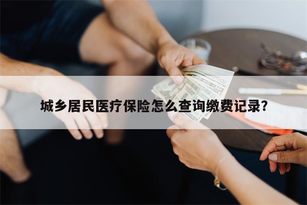 城乡居民医疗保险怎么查询缴费记录?