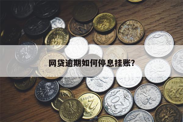 网贷逾期如何停息挂账？