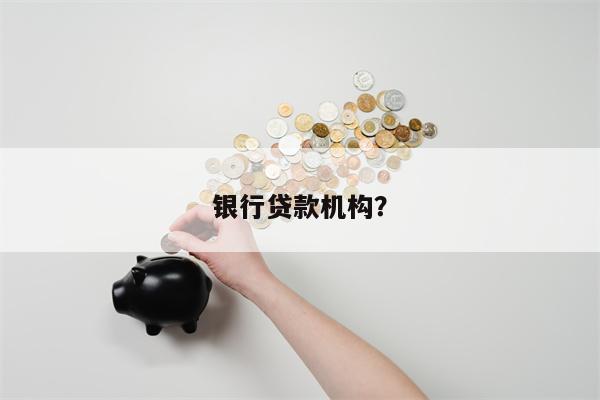 银行贷款机构?