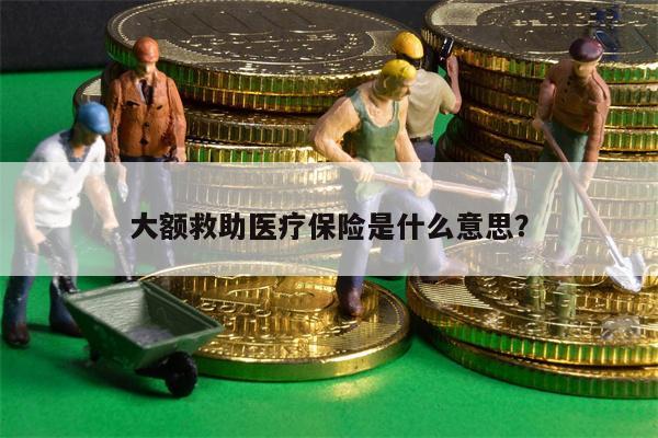 大额救助医疗保险是什么意思?