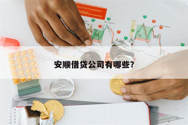 安顺借贷公司有哪些?