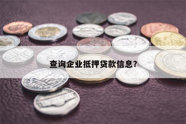 查询企业抵押贷款信息?