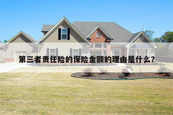第三者责任险的保险金额的理由是什么?