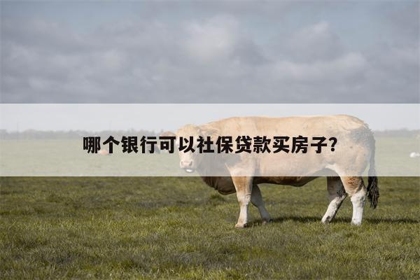 哪个银行可以社保贷款买房子?