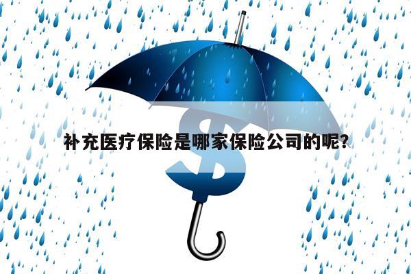 补充医疗保险是哪家保险公司的呢?