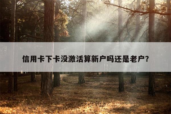 信用卡下卡没激活算新户吗还是老户?