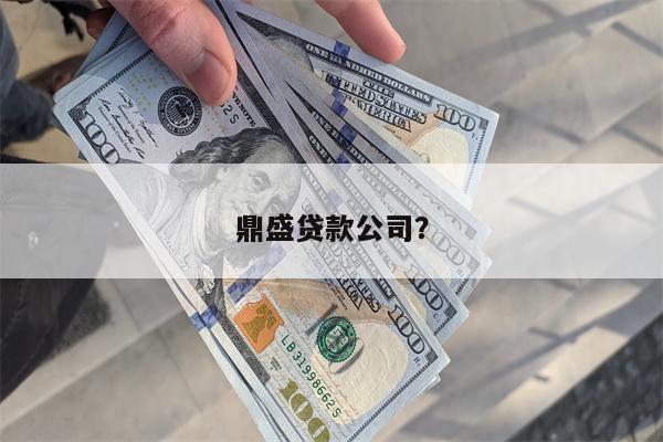 鼎盛贷款公司?