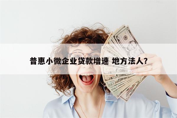 普惠小微企业贷款增速 地方法人?