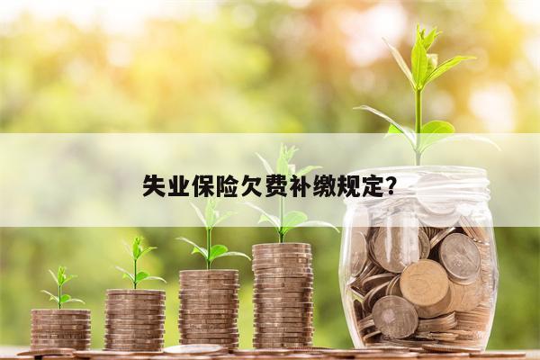 失业保险欠费补缴规定?