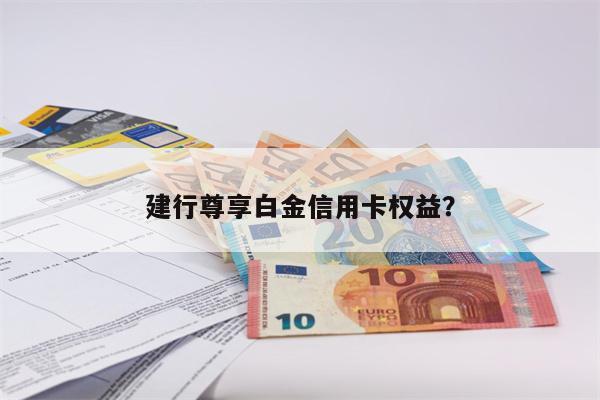 建行尊享白金信用卡权益?