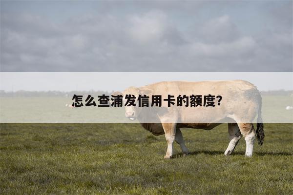 怎么查浦发信用卡的额度?