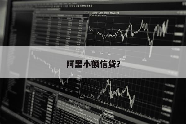 阿里小额信贷?