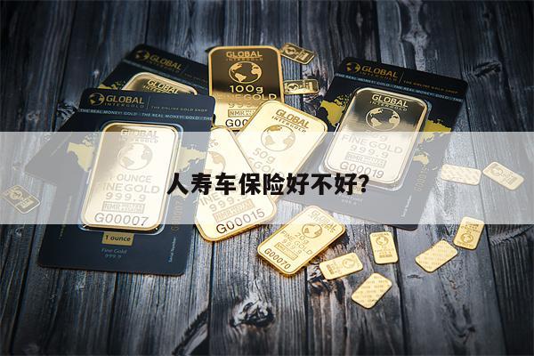 人寿车保险好不好?