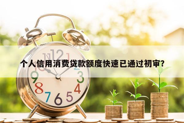 个人信用消费贷款额度快速已通过初审?
