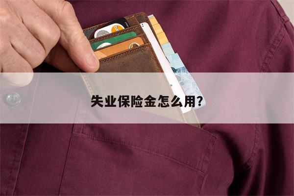 失业保险金怎么用?