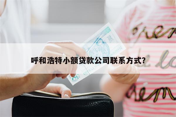 呼和浩特小额贷款公司联系方式?