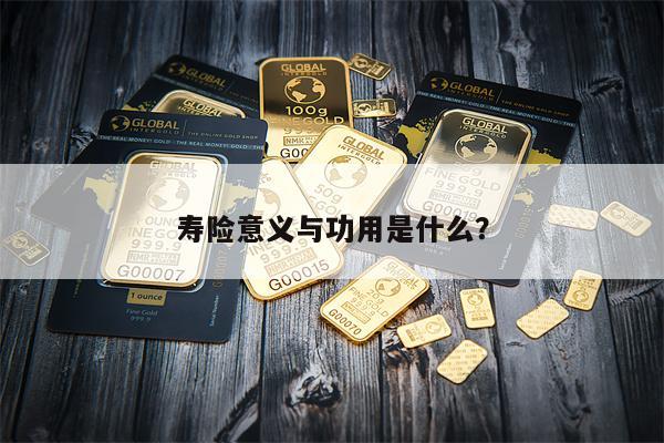 寿险意义与功用是什么?