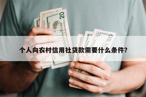 个人向农村信用社贷款需要什么条件?