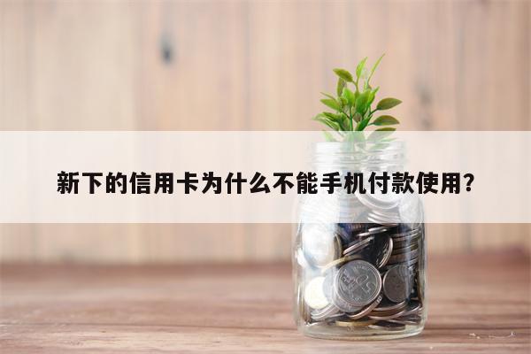 新下的信用卡为什么不能手机付款使用?