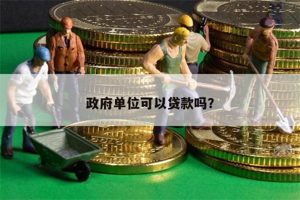 政府单位可以贷款吗?