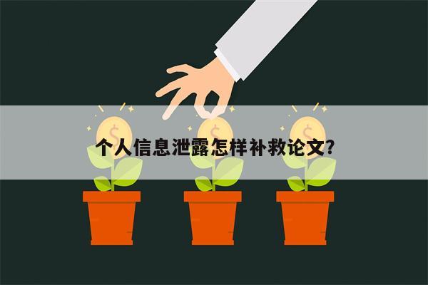个人信息泄露怎样补救论文？
