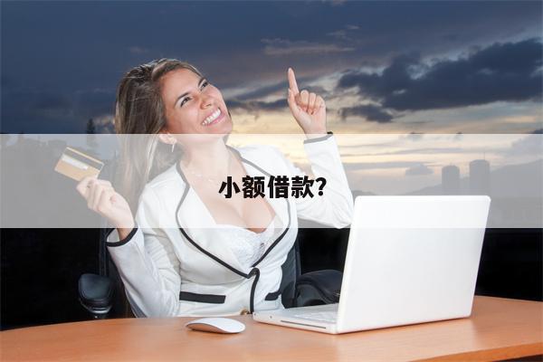 小额借款?