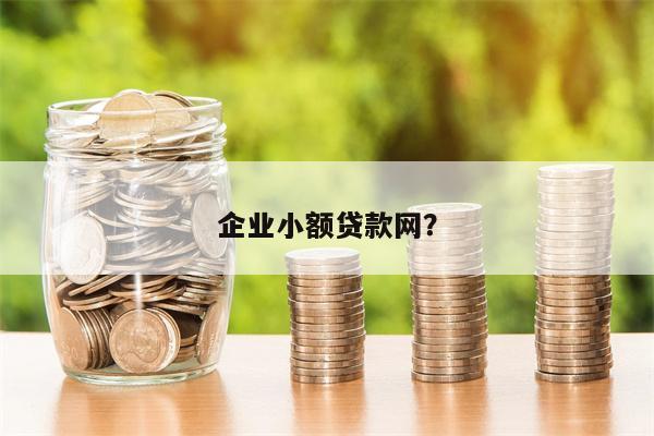 企业小额贷款网?